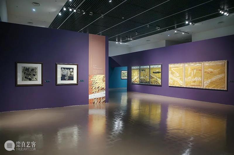 【中华艺术宫 | 旁逸斜出】“岁月如金——馆藏金祥龙版画作品展”(四):花语思路 花语 思路 版画 中华艺术宫 岁月如金 作品展 金祥龙 向日葵 花卉 元素 崇真艺客