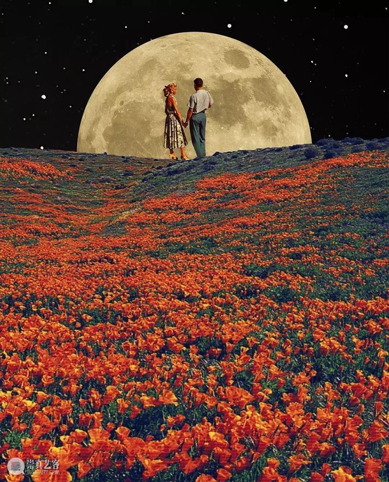 星际漫游 星际漫游 艺术家 Collage Soul 艺术 魔法 超现实主义 星河 作品 往期 崇真艺客