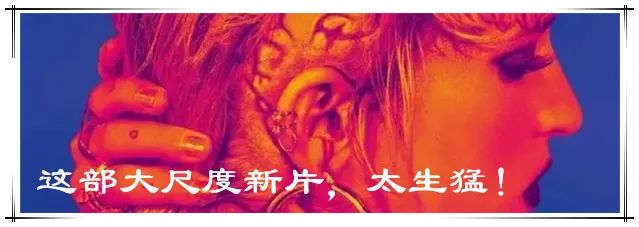 年度热血新番,一集飙到9.7分 新番 年度 热血 上方 影院 页面 右上 星标 年末 其中 崇真艺客