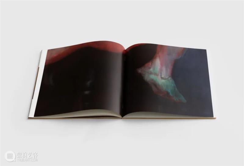 【画册发布&对谈】《谢其：夏天过去了好几年》 | 11月6日下午4点@麦勒画廊 麦勒画廊 谢其 画册 耐心 东西 个展 新作 which show.出版 编辑 崇真艺客