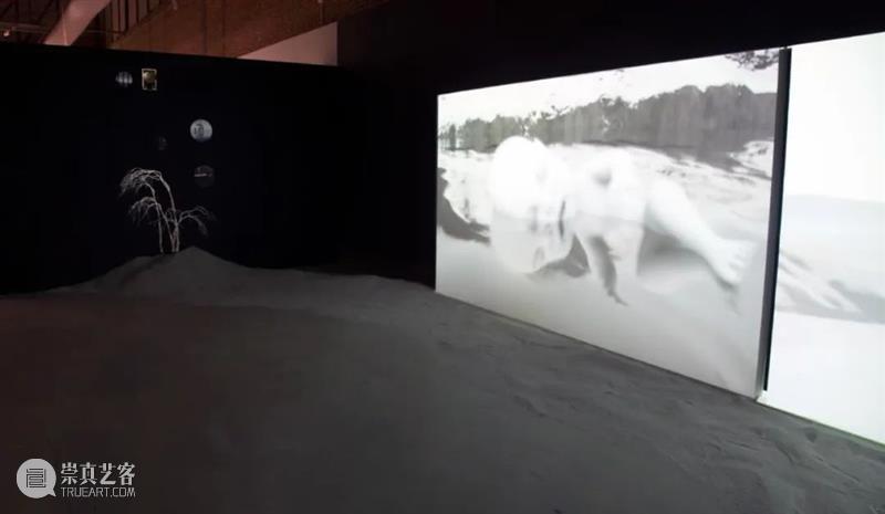 2021 PHOTOFAIRS | 曹澍个人项目 | 蜂巢当代艺术中心 Booth: B01 曹澍 蜂巢 当代 艺术 中心 PHOTOFAIRS 个人 项目 Booth 散步模拟 崇真艺客