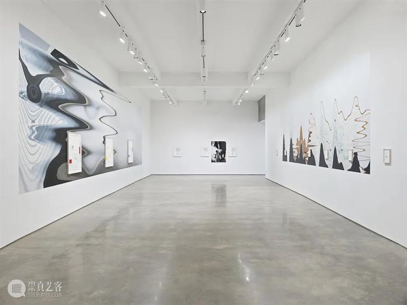 同行/ 安迪·沃霍尔弄哭你了吗？| Louise Lawler 视频资讯 同行 Lawler 安迪·沃霍尔 Louise 同行 作品 艺术 Generation 图像 世代 艺术家 崇真艺客