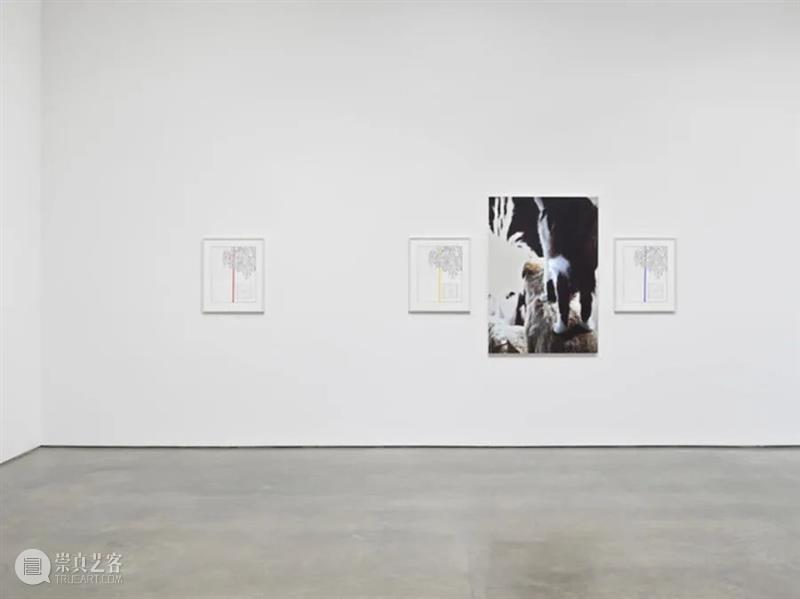 同行/ 安迪·沃霍尔弄哭你了吗？| Louise Lawler 视频资讯 同行 Lawler 安迪·沃霍尔 Louise 同行 作品 艺术 Generation 图像 世代 艺术家 崇真艺客