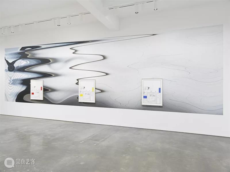 同行/ 安迪·沃霍尔弄哭你了吗？| Louise Lawler 视频资讯 同行 Lawler 安迪·沃霍尔 Louise 同行 作品 艺术 Generation 图像 世代 艺术家 崇真艺客