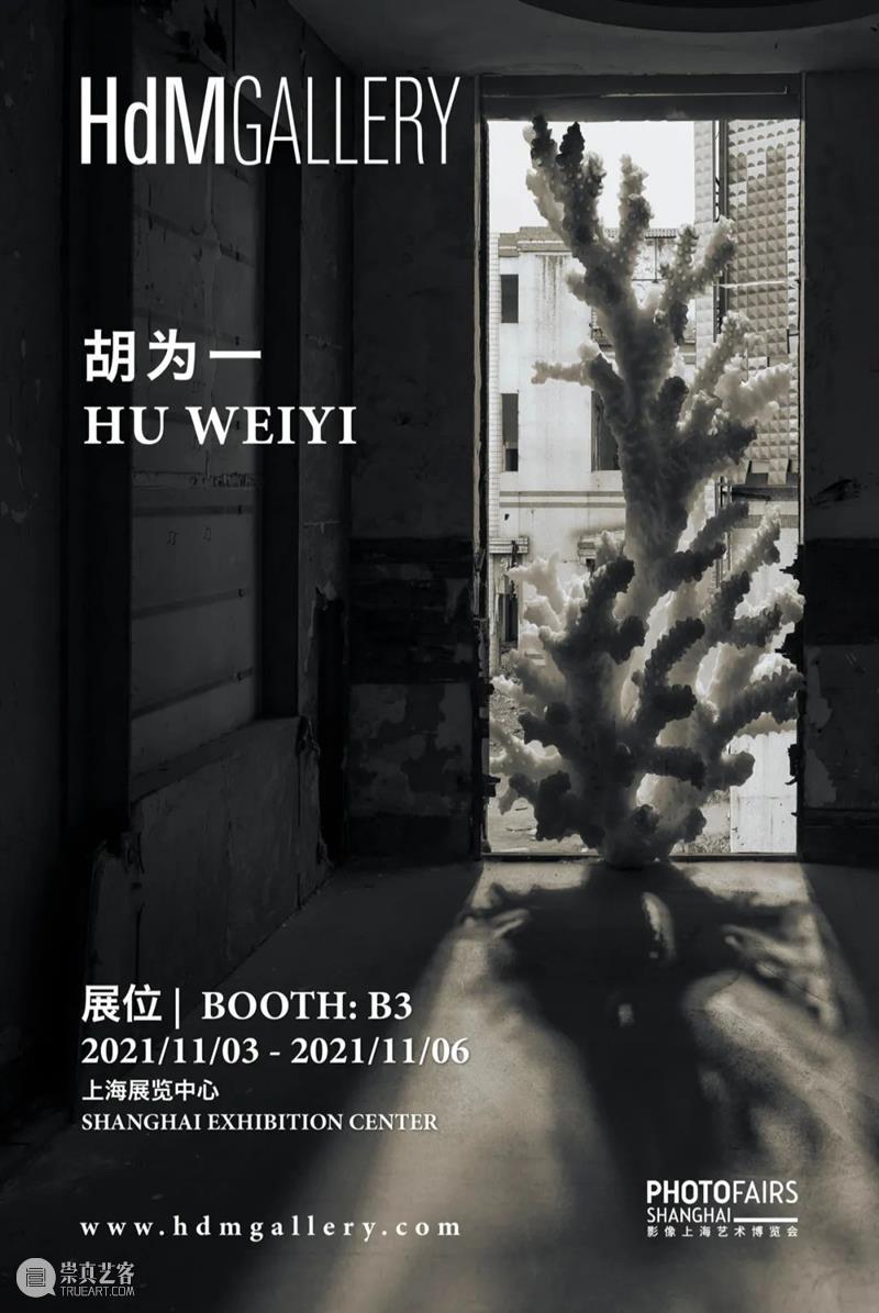 HdM·文章 |冯博一《意出尘外——关于胡为一的艺术》 艺术 冯博一 意出尘外 HdM 文章 胡为 作品 影像 装置 保持匍匐 崇真艺客