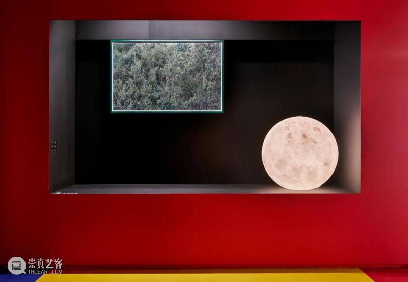 「松」展览|现实与舞台 现实 舞台 艺术品 家具 前提 目前 商业 业态 生活 状态 崇真艺客