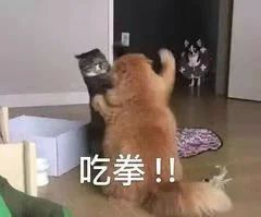 陈坤新剧《和平之舟》定档央视；漫威总裁曾想让复联初代六人全灭 陈坤 新剧 和平之舟 央视 漫威 总裁 复联 初代 六人 影视 崇真艺客