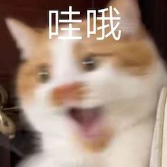 陈坤新剧《和平之舟》定档央视；漫威总裁曾想让复联初代六人全灭 陈坤 新剧 和平之舟 央视 漫威 总裁 复联 初代 六人 影视 崇真艺客