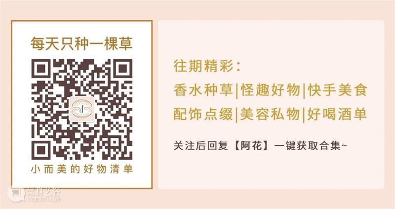 你获取知识的能力,决定了你的层次! 知识 能力 层次 资讯 微信公众号 信息 见解 领域 深度 公众 崇真艺客