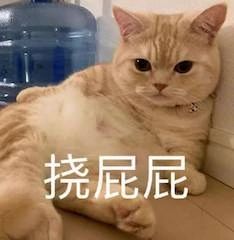 ​国产剧《三体》首曝预告；盖尔加朵饰演《白雪公主》恶毒皇后 三体 盖尔 加朵 白雪公主 恶毒皇后 影视 好剧 小豆 资讯 豆瓣 崇真艺客