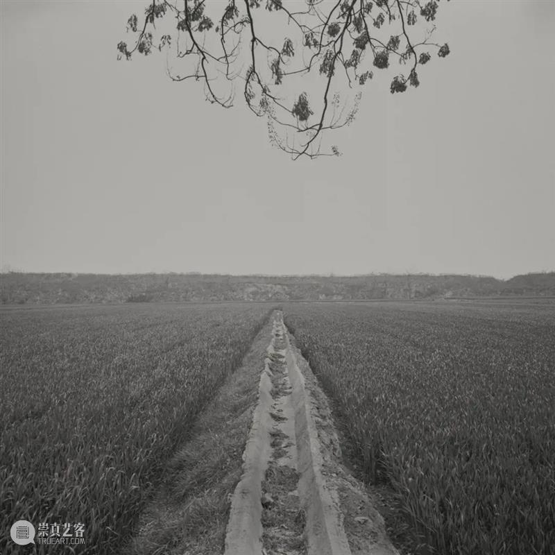 策展人对谈|“重要的不是摄影”的想法和做法 策展人 想法 做法 中央美术学院 纪程 两位 中央美术学院美术馆影像艺术中心 主任 蔡萌 教授 崇真艺客