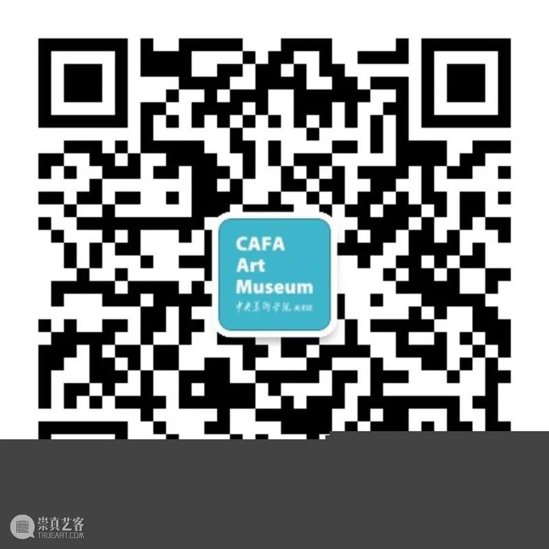 策展人对谈｜“重要的不是摄影”的想法和做法 策展人 想法 做法 中央美术学院 纪程 两位 中央美术学院美术馆影像艺术中心 主任 蔡萌 教授 崇真艺客