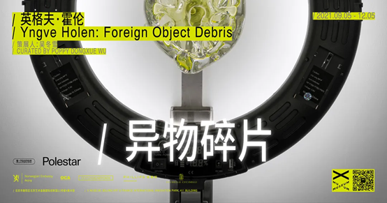 【京津冀】11月份有什么好看的展览?(第一期) 京津冀 知行 墨境 中国 名家 邀请展 代表 作品 成果 脉络 崇真艺客