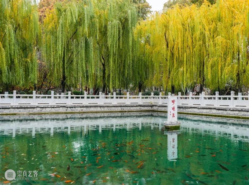 中国的源泉之城,为何是济南? 济南 中国 源泉 环城 清溪 山影 岸上 红袍 小妞儿 济南的秋天 崇真艺客