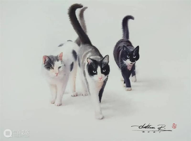 用水墨画的方式打开猫咪画像，居然意外的好看哦 ~ 水墨画 方式 猫咪 画像 END 崇真艺客