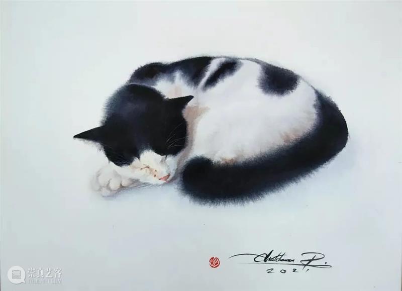 用水墨画的方式打开猫咪画像，居然意外的好看哦 ~ 水墨画 方式 猫咪 画像 END 崇真艺客