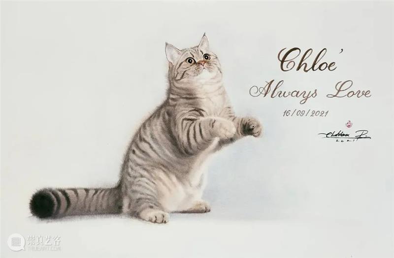 用水墨画的方式打开猫咪画像，居然意外的好看哦 ~ 水墨画 方式 猫咪 画像 END 崇真艺客
