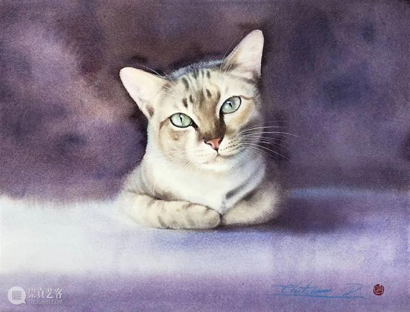 用水墨画的方式打开猫咪画像，居然意外的好看哦 ~ 水墨画 方式 猫咪 画像 END 崇真艺客