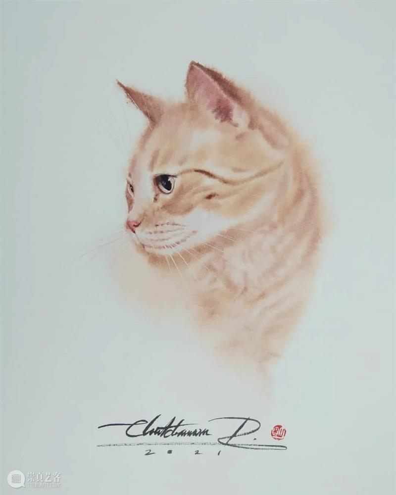 用水墨画的方式打开猫咪画像，居然意外的好看哦 ~ 水墨画 方式 猫咪 画像 END 崇真艺客