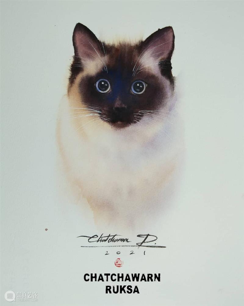用水墨画的方式打开猫咪画像，居然意外的好看哦 ~ 水墨画 方式 猫咪 画像 END 崇真艺客
