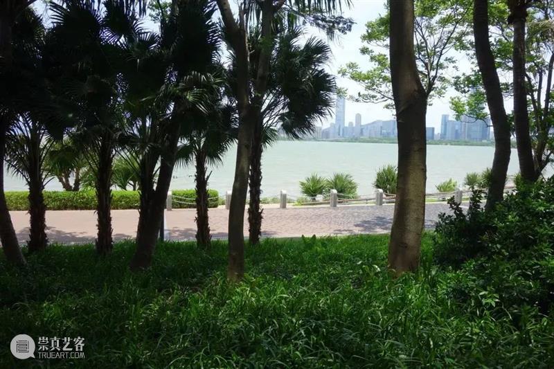 GBA Keywords | An Isolated Island GBA Keywords region Shenzhen surpassing Tokyo Singapore Angeles species London 崇真艺客