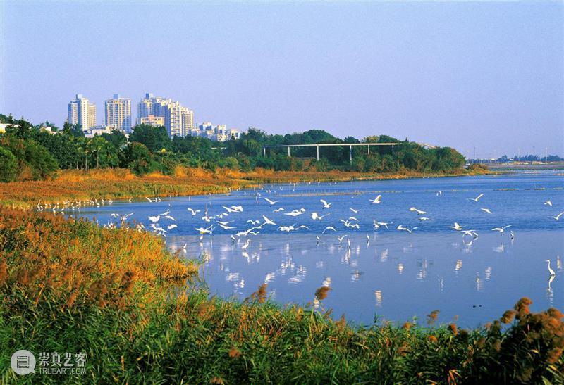 GBA Keywords | An Isolated Island GBA Keywords region Shenzhen surpassing Tokyo Singapore Angeles species London 崇真艺客