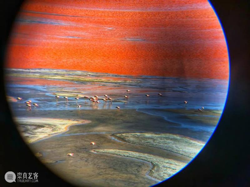 2021艺术上海 参展画廊｜EveryArt Gallery 画廊 艺术上海 2021艺术上海国际博览会 上海世博展览馆 H1馆 博览会 国内外 机构 中外 艺术家 崇真艺客