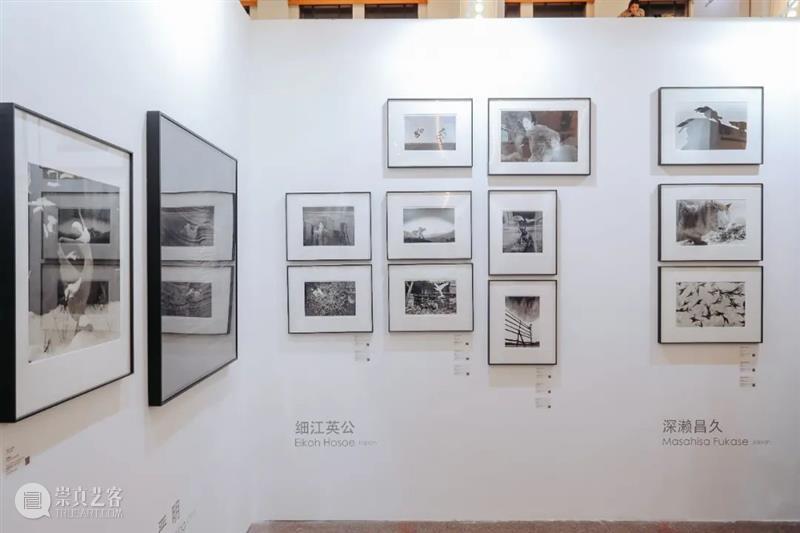多图预警 | 2021影像艺术博览会现场看点大追踪 影像 博览会 艺术 现场 上海艺术博览会 首日 伙伴 保时捷 副总裁 首席 崇真艺客