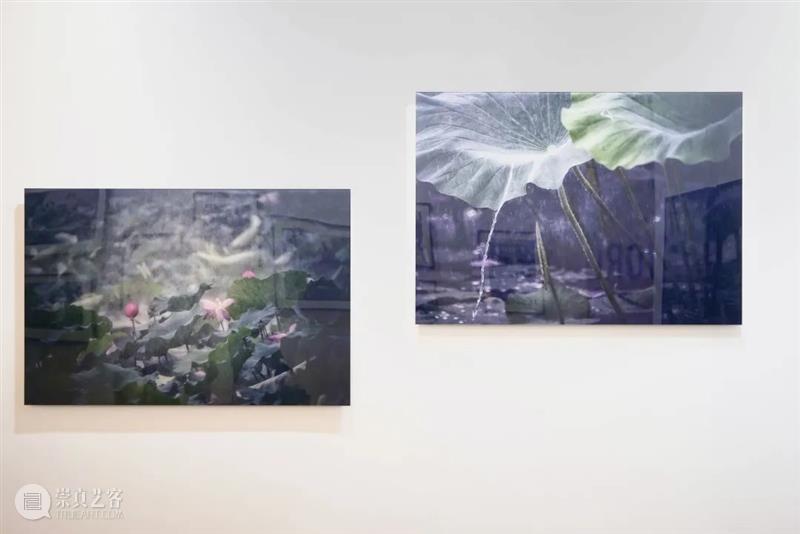 艾米李画廊·萧戈个展｜2021影像上海最后一日 影像 萧戈 艾米 李画廊 个展 上海 SHANGHAI 时间 展位 艺术家 崇真艺客