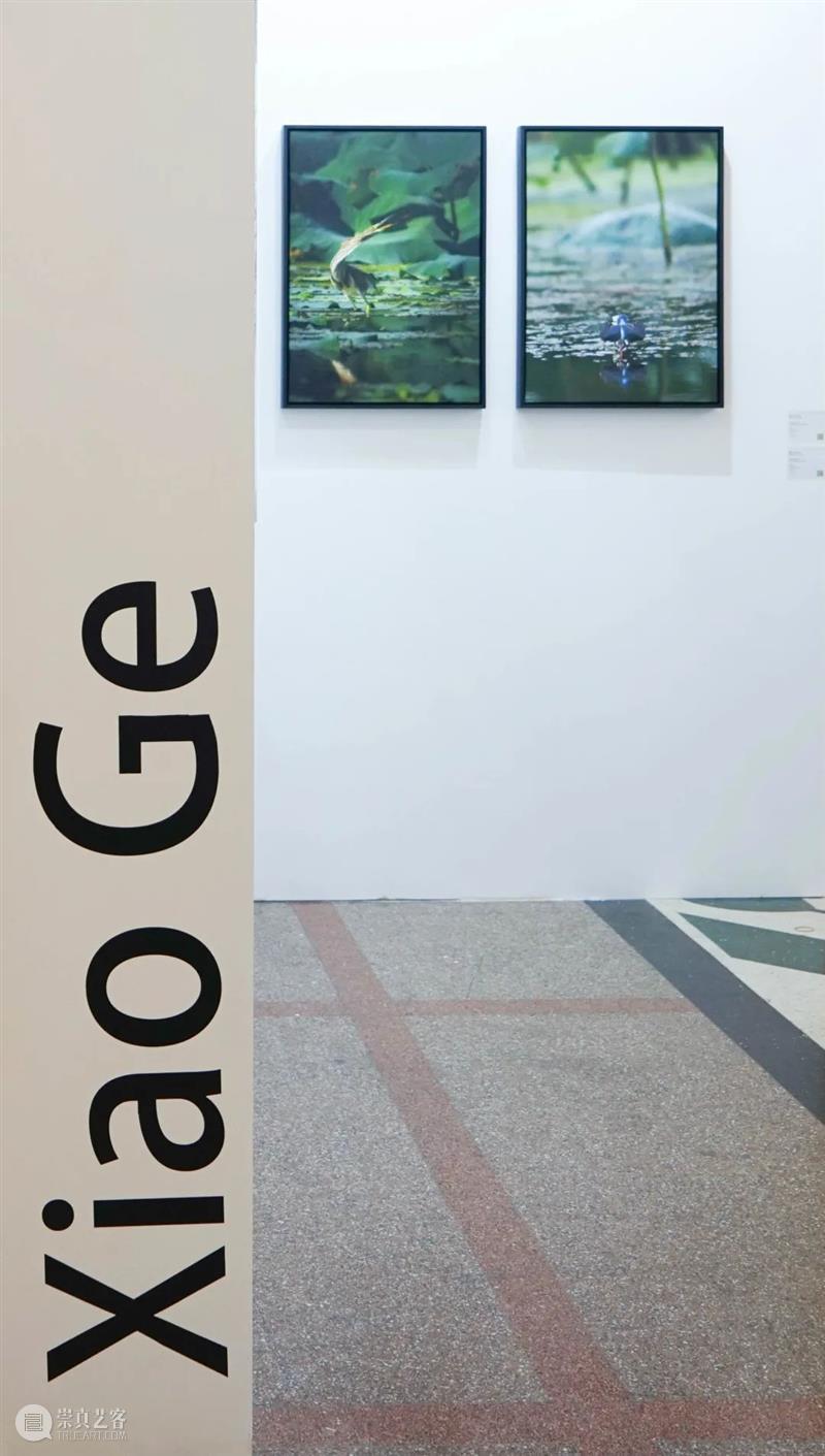 艾米李画廊·萧戈个展｜2021影像上海最后一日 影像 萧戈 艾米 李画廊 个展 上海 SHANGHAI 时间 展位 艺术家 崇真艺客