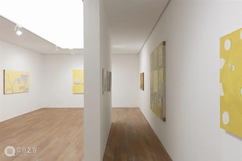 【拾萬现场】贺勋：黄金螺旋 黄金 螺旋 贺勋 现场 空间 个展 艺术家 作品 名字 儿童 崇真艺客