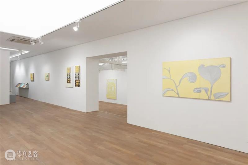 【拾萬现场】贺勋：黄金螺旋 黄金 螺旋 贺勋 现场 空间 个展 艺术家 作品 名字 儿童 崇真艺客