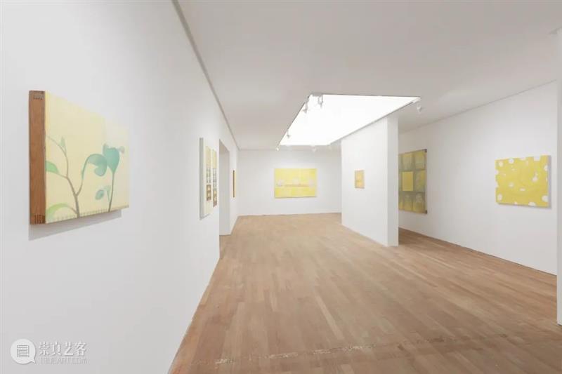 【拾萬现场】贺勋：黄金螺旋 黄金 螺旋 贺勋 现场 空间 个展 艺术家 作品 名字 儿童 崇真艺客
