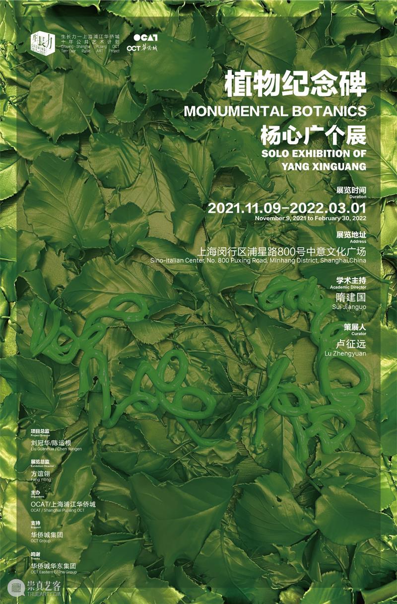即将开幕｜生长力系列展览“植物纪念碑——杨心广个展”即将开幕 植物 纪念碑 杨心广 个展 系列 学术 隋建国 策展人 卢征远艺术家 项目 崇真艺客