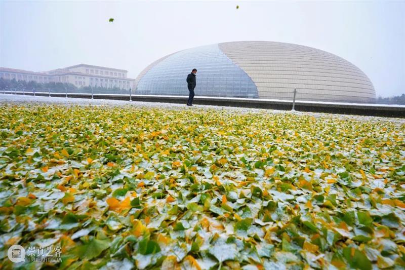 今日立冬丨剧小院邀你在曼妙乐音中感受初雪之美 初雪 小院 丨剧 乐音 摄影师 牛小北　　 二十四节气 开端 北京 银装 崇真艺客