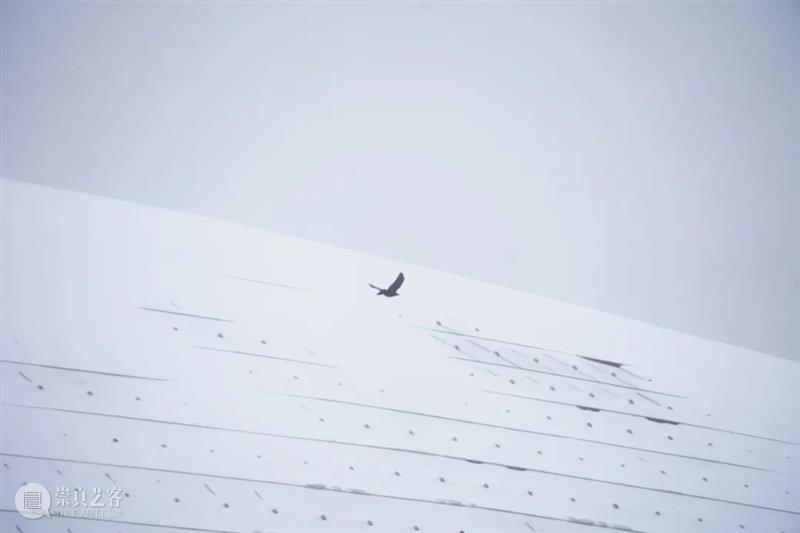 今日立冬丨剧小院邀你在曼妙乐音中感受初雪之美 初雪 小院 丨剧 乐音 摄影师 牛小北　　 二十四节气 开端 北京 银装 崇真艺客