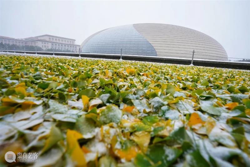 今日立冬丨剧小院邀你在曼妙乐音中感受初雪之美 初雪 小院 丨剧 乐音 摄影师 牛小北　　 二十四节气 开端 北京 银装 崇真艺客
