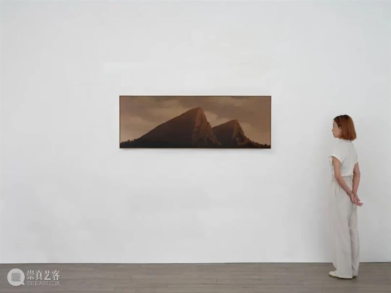 白立方在上海 | ART021上海廿一当代艺术博览会C10展位精选作品 上海 廿一 艺术 博览会 展位 作品 白立方 立方 延安西路1000号 上海展览中心 崇真艺客