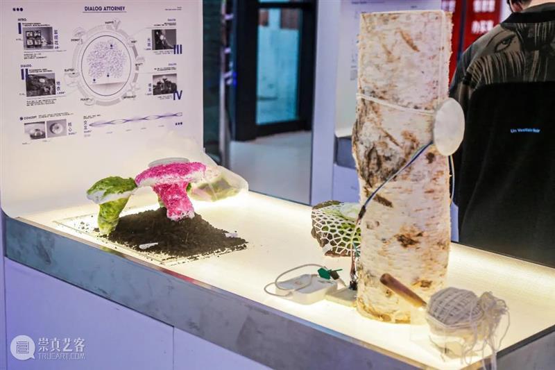 课程成果｜“流动的舞台”——D&I2019级工业设计结题展 舞台 工业 成果 课程 题展 Theatre 引言 同济 广汽创新设计策源营 同济大学设计创意学院 崇真艺客
