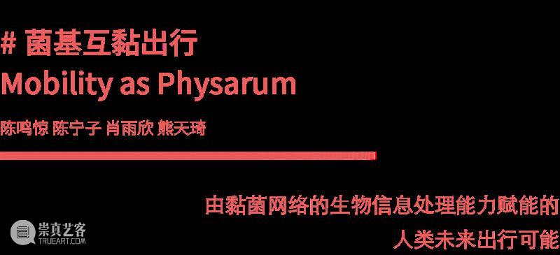 课程成果|“流动的舞台”——D&I2019级工业设计结题展 舞台 工业 成果 课程 题展 Theatre 引言 同济 广汽创新设计策源营 同济大学设计创意学院 崇真艺客
