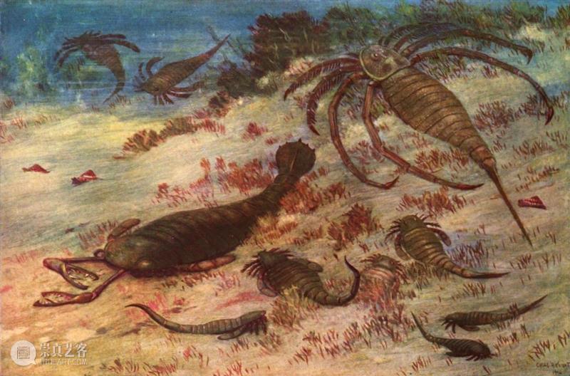 海洋头号杀手——消逝的远古巨蝎 海洋 杀手 远古 巨蝎 地质 历史 生命 环境 寒武纪生命大爆发 目的 崇真艺客