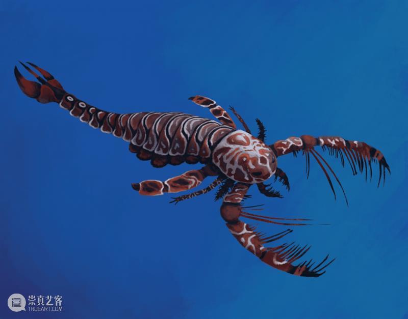 海洋头号杀手——消逝的远古巨蝎 海洋 杀手 远古 巨蝎 地质 历史 生命 环境 寒武纪生命大爆发 目的 崇真艺客
