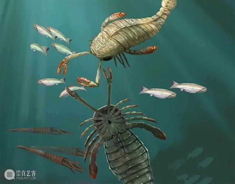 海洋头号杀手——消逝的远古巨蝎 海洋 杀手 远古 巨蝎 地质 历史 生命 环境 寒武纪生命大爆发 目的 崇真艺客