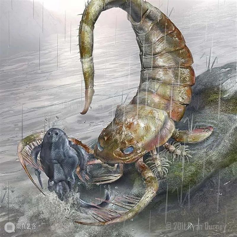 海洋头号杀手——消逝的远古巨蝎 海洋 杀手 远古 巨蝎 地质 历史 生命 环境 寒武纪生命大爆发 目的 崇真艺客