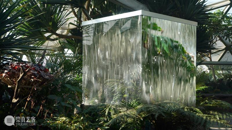 Art Fair | Vanguard画廊参加ART021上海廿一当代艺术博览会（Booth W19）  VG 崇真艺客