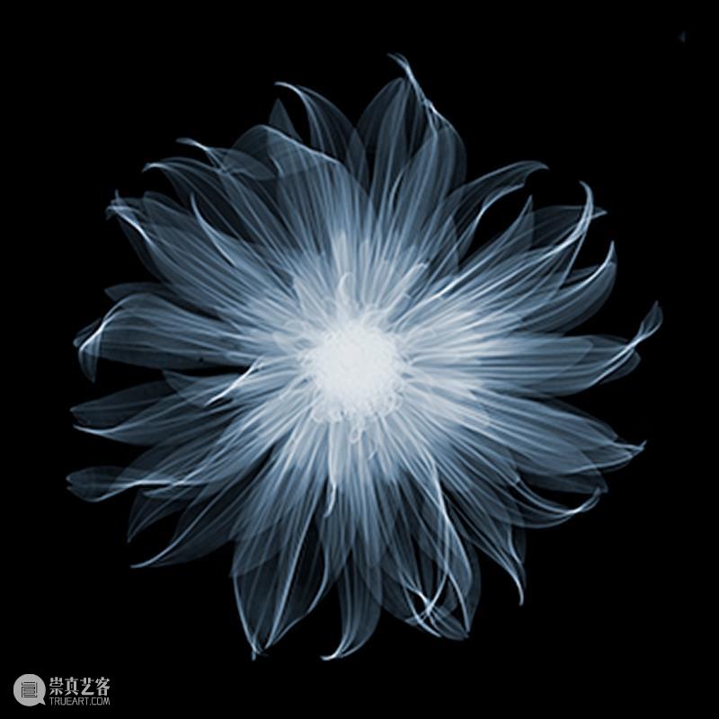 BlueriderDaily 艺术家新闻 Nick Veasey尼克.维西 艺术家 新闻 Nick 维西 Veasey尼克 Veasey 尼克 全球 博物馆 瑞典 崇真艺客