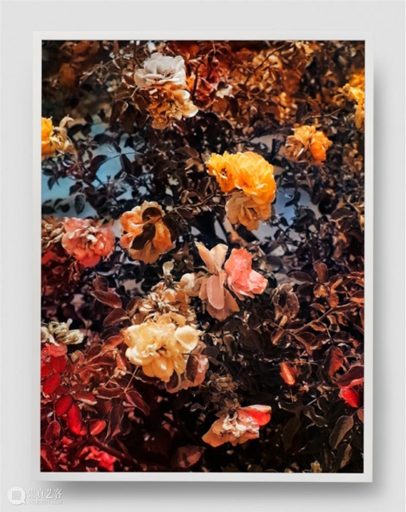 佩斯画廊参展 2021 西岸艺博会 大卫·霍克尼《杂耍者们》中国首展 佩斯 画廊 大卫·霍克尼 杂耍者们 中国 西岸艺博会 首展 西岸 艺术 博览会 崇真艺客