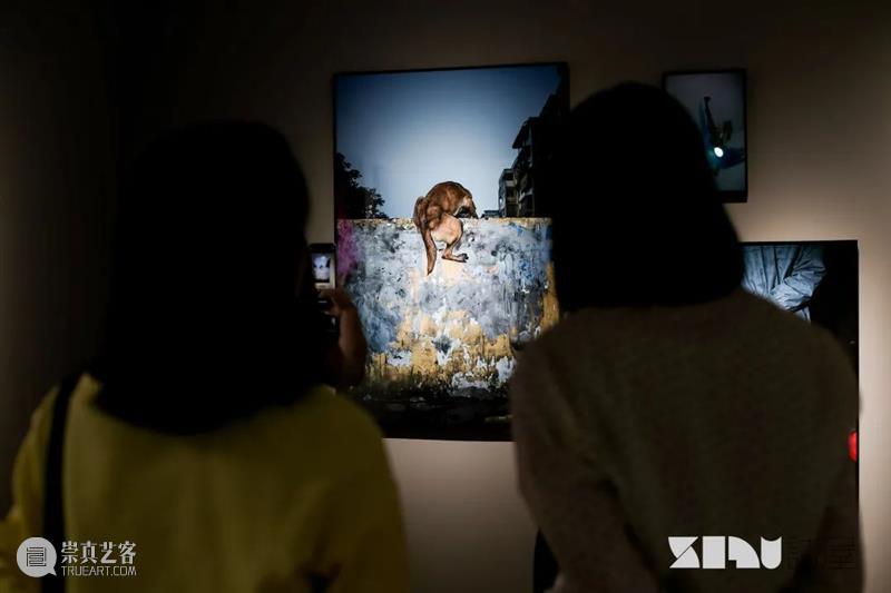 【展览回顾】光影流动，摄影艺术再发现之旅 艺术 光影 集美 阿尔勒 作品 地点 上海市 黄浦区 建国中路10号 誌屋 崇真艺客