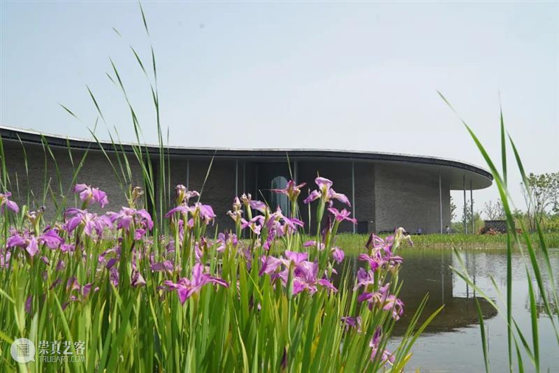 济宁市美术馆|中国建筑上的青砖艺术 济宁市美术馆 艺术 中国建筑 青砖 济宁文化中心 中国 工程 质量 荣誉 鲁班奖 崇真艺客