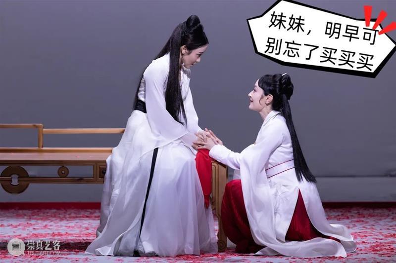 双11在即,我们提前准备了一份《红楼梦》惊喜套餐!明早开售 红楼梦 套餐 双11 产品 价值 平台 上海话剧艺术中心天猫旗舰店 话剧 全本 野兽派 崇真艺客
